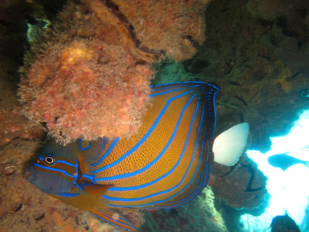 Ombak Dive Resort Perhentian Island Pulau Perhentian Kecil Екстериор снимка